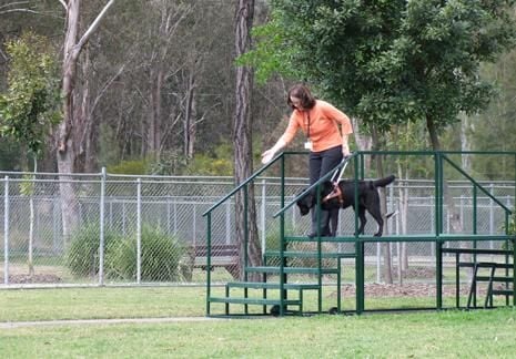 Guide Dogs NSW Day Tour Image -5a0bce207b29b